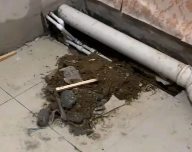 红原卫生间漏水检测哪家好